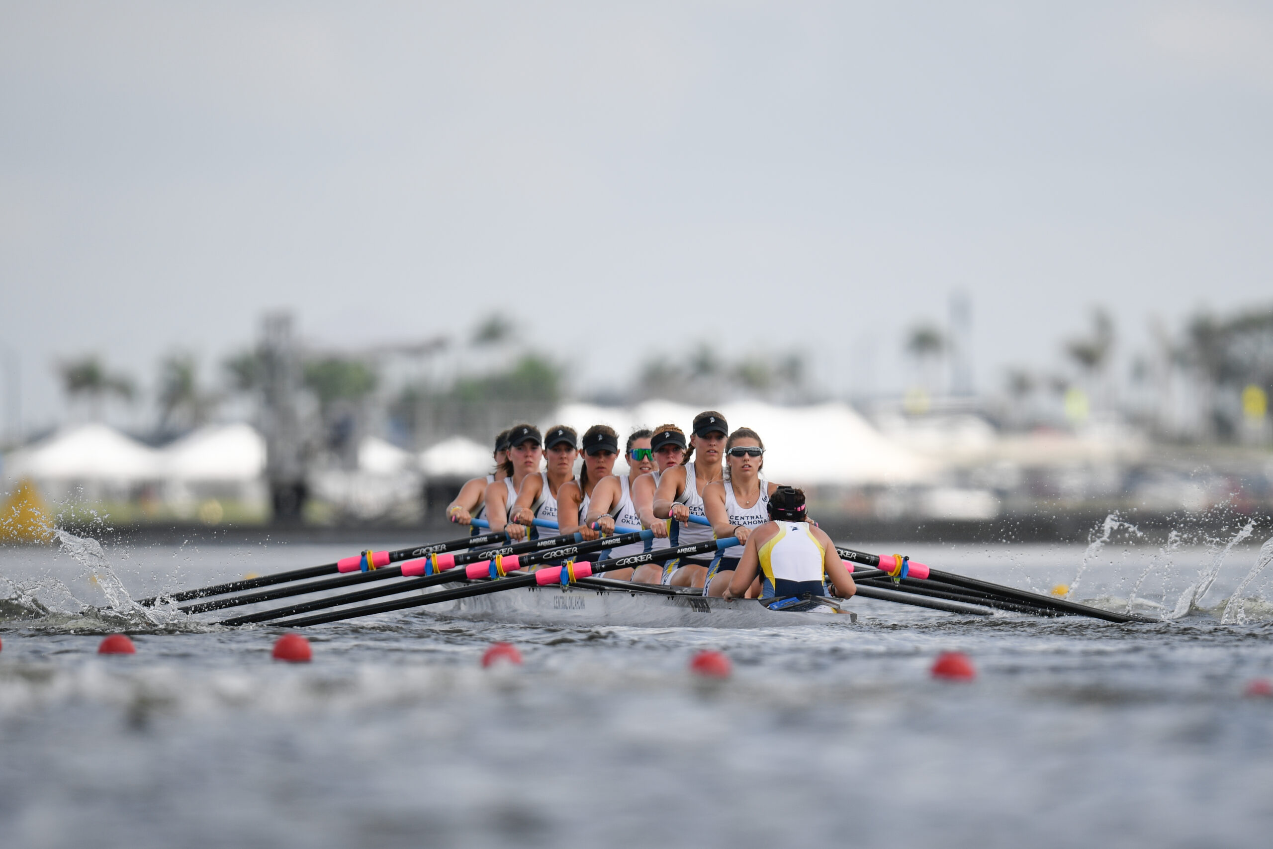 Wildcat Rowing Rowing News | Huskies, Bronchos and Bobcats Hold On to Top Spots in ...