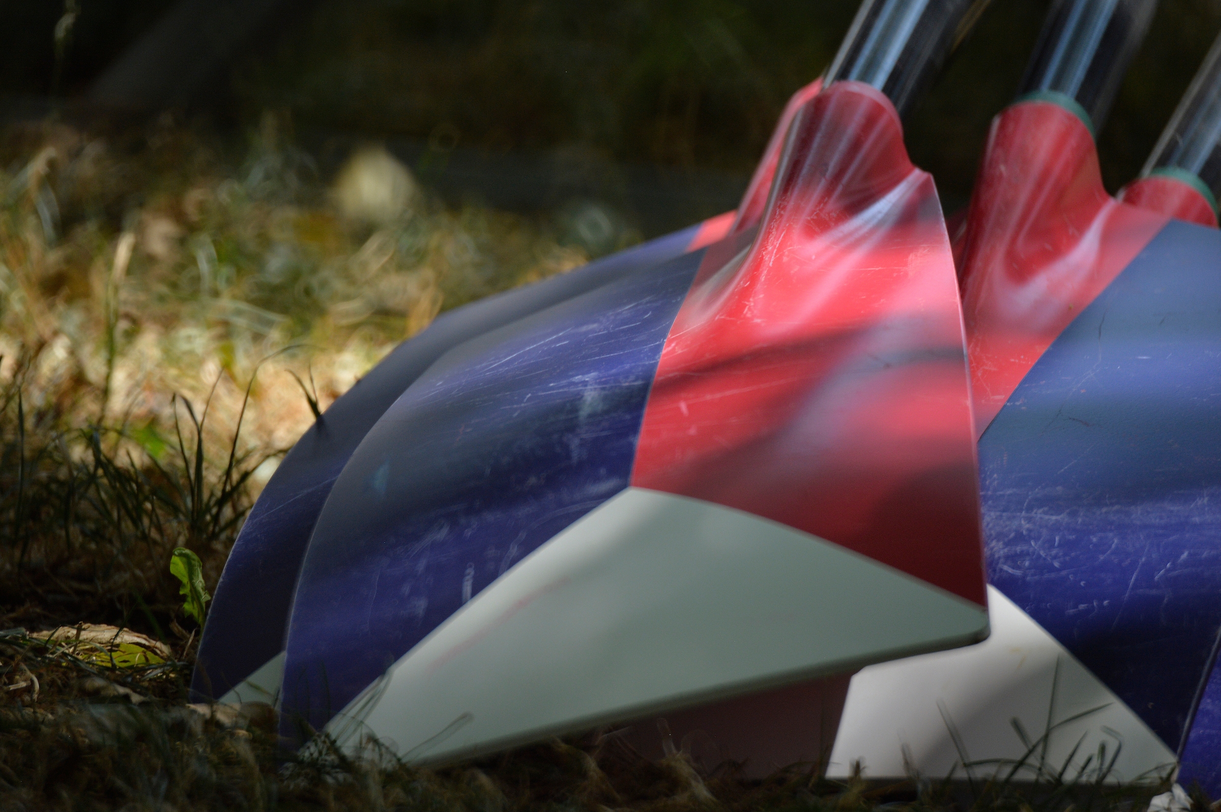 Newer Is Not Necessarily Better